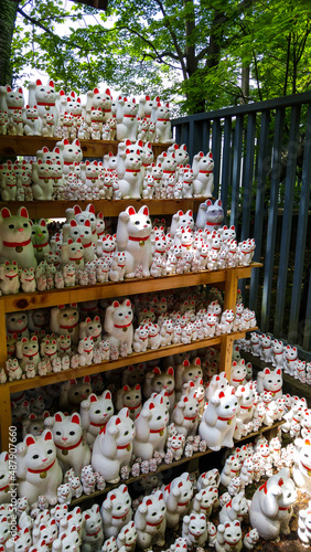 Quadro su tela Hundreds of Maneki Neko are adorned along the paths in Gotokuji Temple, Setagaya