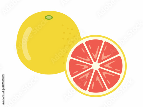 グレープフルーツと断面のイラスト