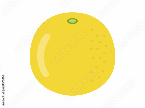 グレープフルーツのイラスト