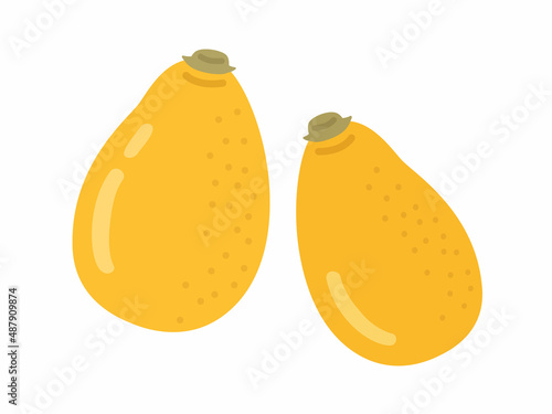 果物のビワのイラスト