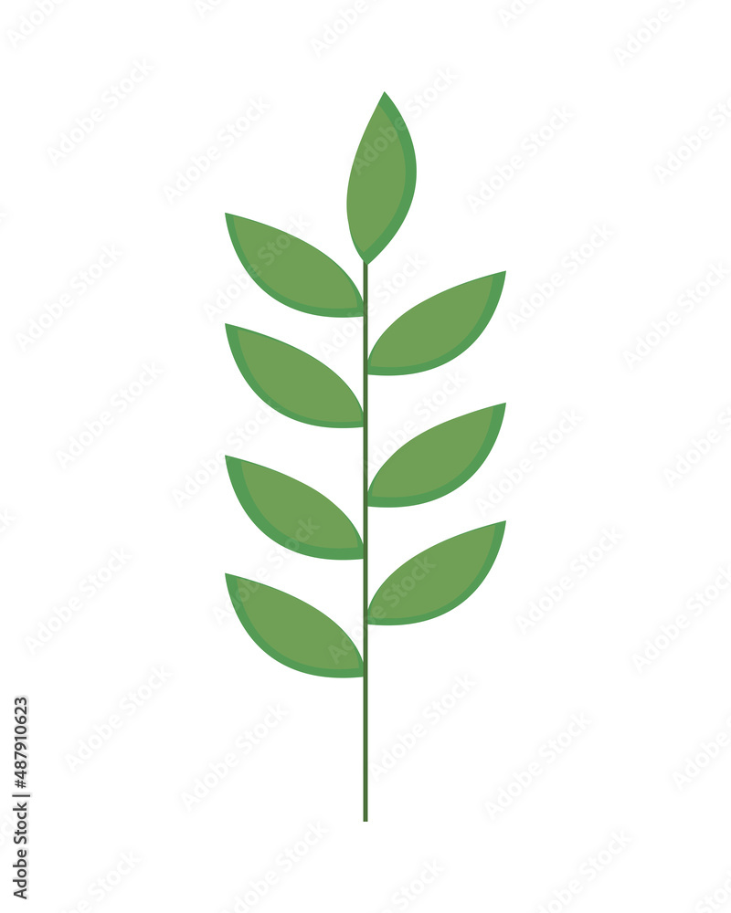 foliage nature icon