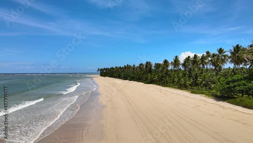 Drone flight over beach with palm trees in Brazil on island Boipeba
 photo
