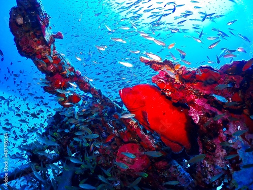 The sunken plane and the Lord who lives there