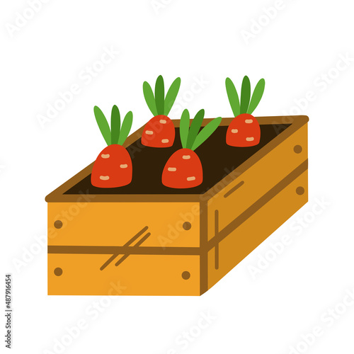 Seedling box vector icon. Hand drawn illustration isolated on white background. Wooden container with soil and sprouted vegetables. Farming, seasonal garden plants. Flat cartoon style