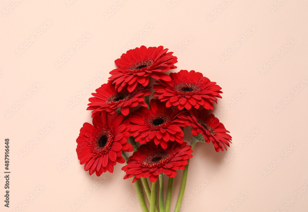 Bouquet of beautiful red gerbera flowers on beige background, top view foto  de Stock | Adobe Stock