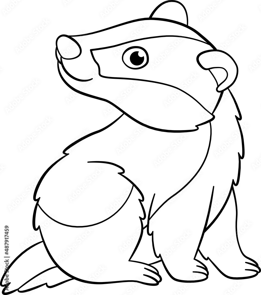 Obraz premium Coloring page. Little cute baby badger stits and smiles.