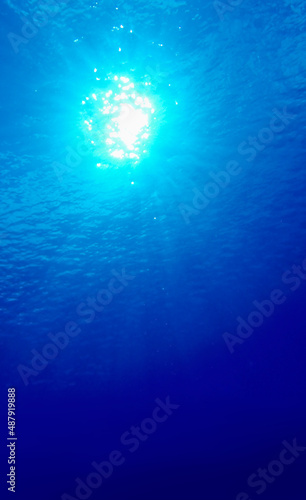 水中から見た太陽光  © サーカス ナナイロ