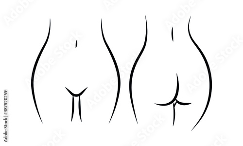 Female naked body. Front and Buttocks line icon. Butt or ass silhouette. Sexual shapes, intimate elements. Vector