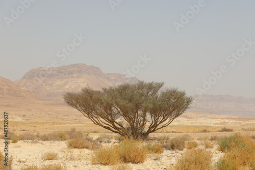 Rocky hills of the Negev Desert in Israel. Breathtaking landscape and nature of the Middle East at sunset. High quality photo photo