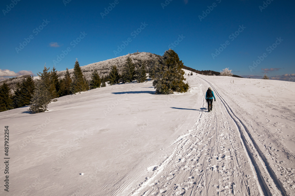winter walk in the snowy mountains