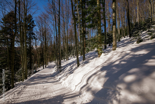 winter walk in the snowy mountains