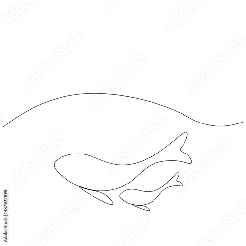 Whales on sea vector illustration