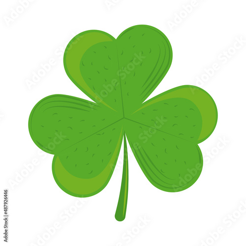 green clover plant