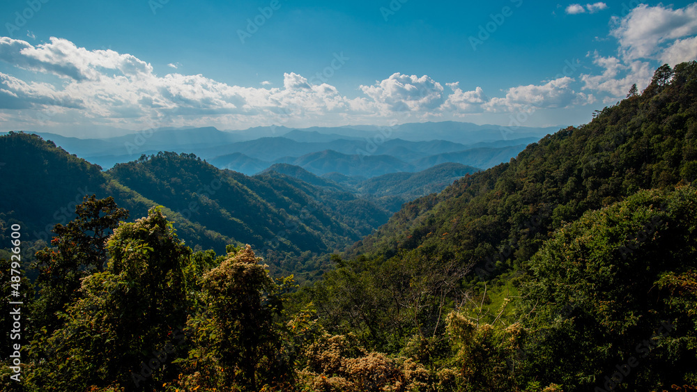 Fototapeta premium landscape in the morning