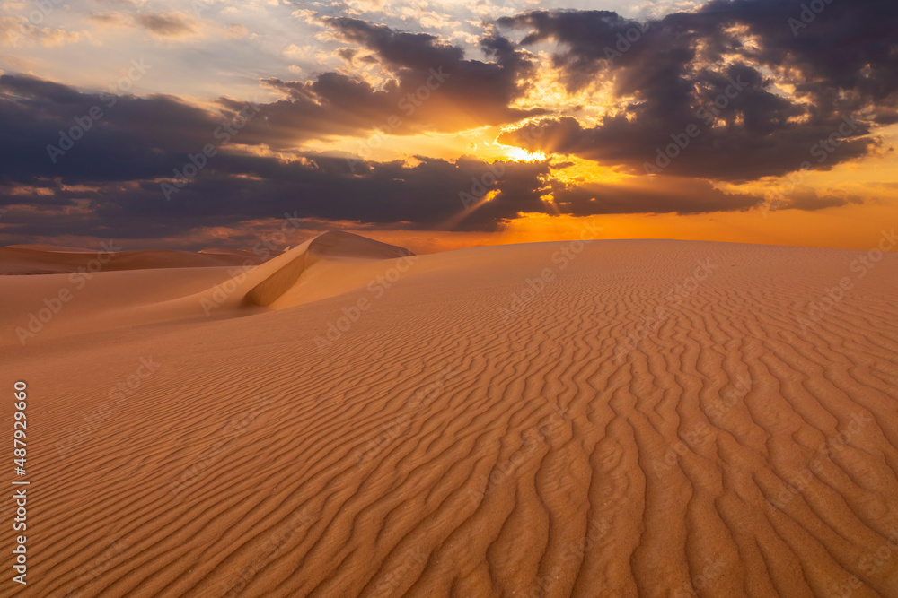 Sunset over the sand dunes in the desert. Arid landscape of the Sahara desert. Sunset over the sand dunes in the desert. Arid landscape of the Sahara desert.