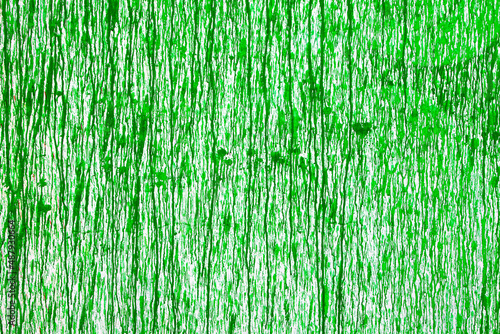 Green paint on a white wall abstract grunge color texture