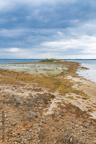 Brittany, panorama of the Morbihan gulf, view from the Ile aux Moines, seascape at low tide 