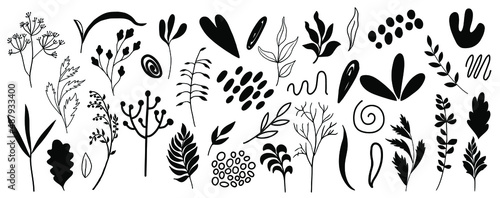 Organic shapes  plants  spots  lines  dots. Vector set of minimal trendy abstract hand drawn isolated elements for graphic design
