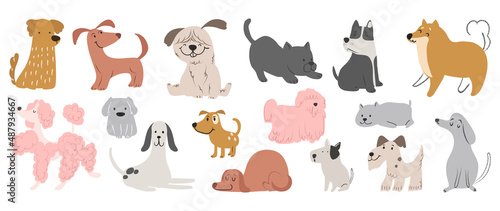 Fototapeta Naklejka Na Ścianę i Meble -  Set of cute dogs vector. Lovely dog and friendly puppy doodle pattern in different poses and breeds with flat color. Adorable funny pet and many characters hand drawn collection on white background.