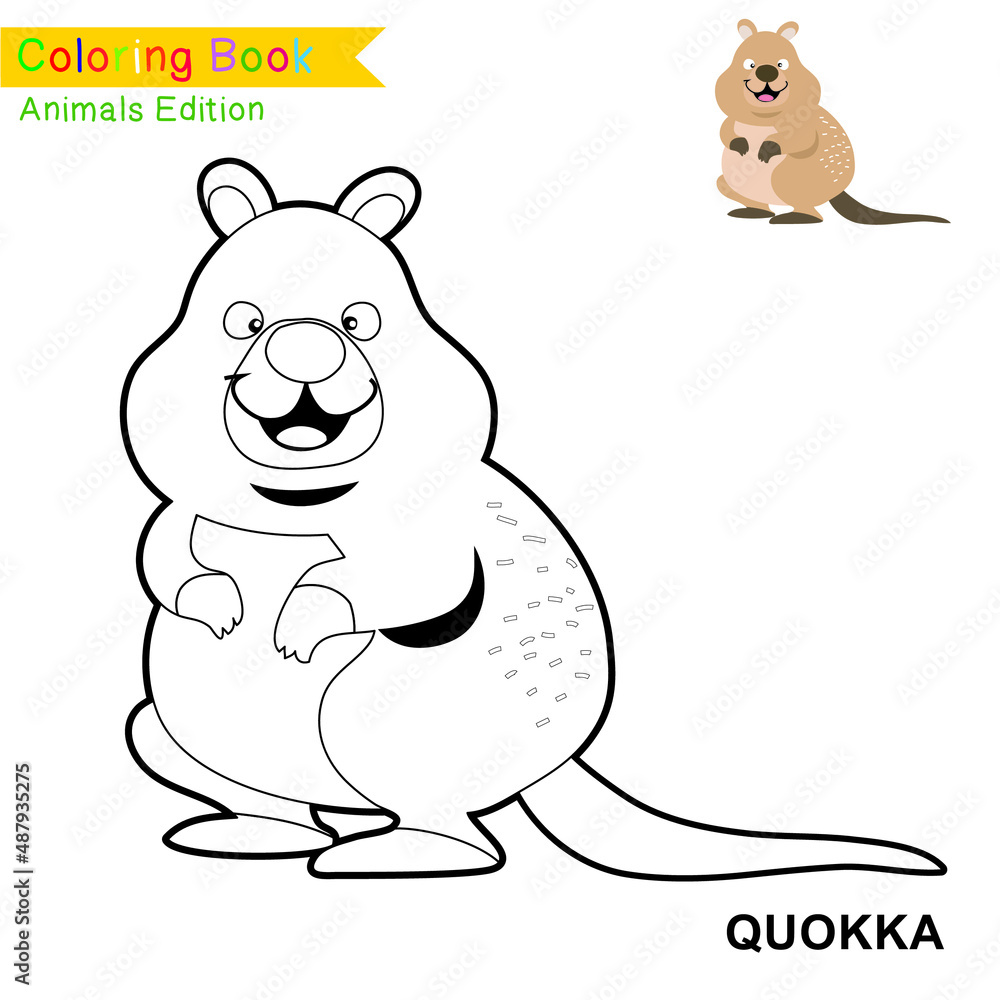 Children coloring page of animal kingdom. Kids art activity page. Funny