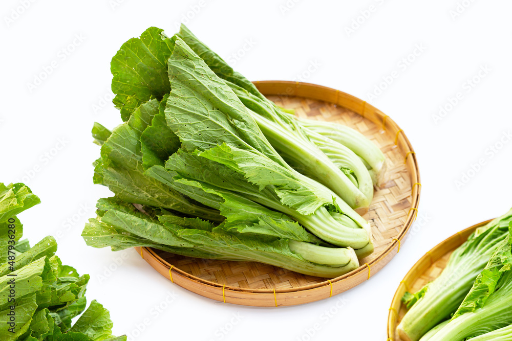 Mustard Green on white background. Mustard Green on white background.