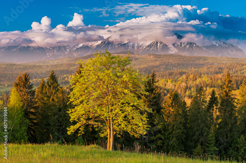 Fototapeta Naklejka Na Ścianę i Meble -  The Tatras