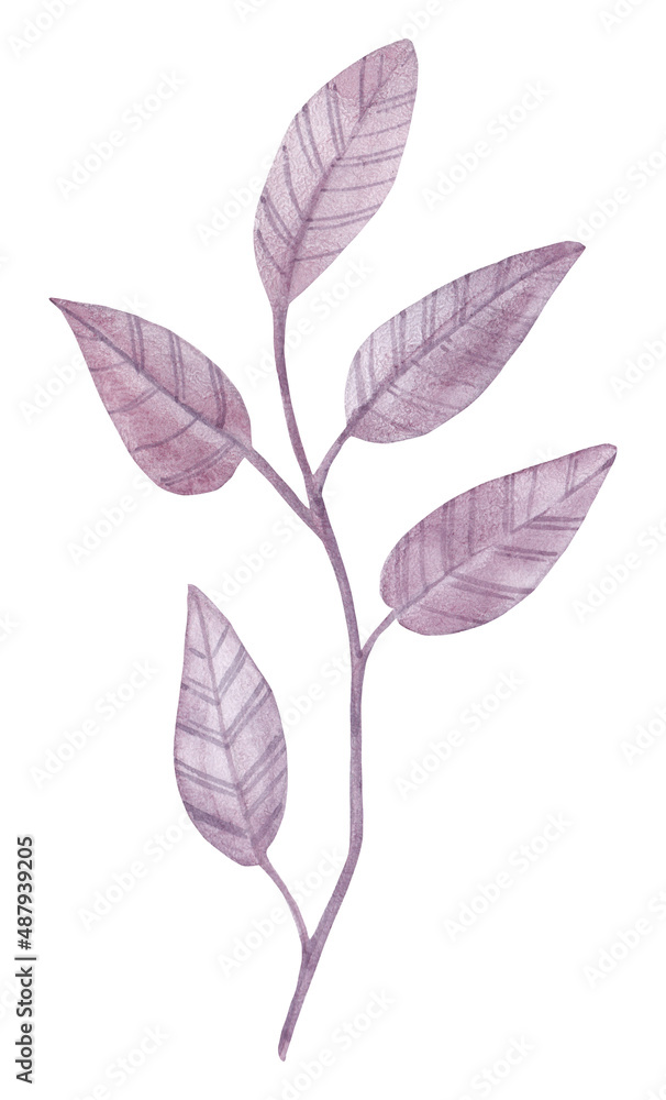 Watercolor illustration of twigs with leaves. Bright plants. Botanical collection. Nature design elements. Isolated on white background