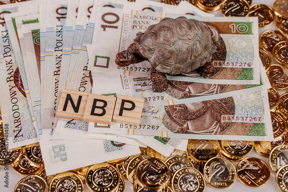 NBP i żółw na pieniądzach - obrazy, fototapety, plakaty 