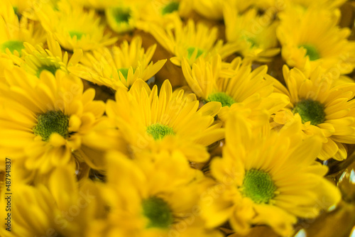 Bouquet of beautiful yellow flowers in a vase. Joyful  sunny  happy background of many yellow daisies close-up. Selective focus.