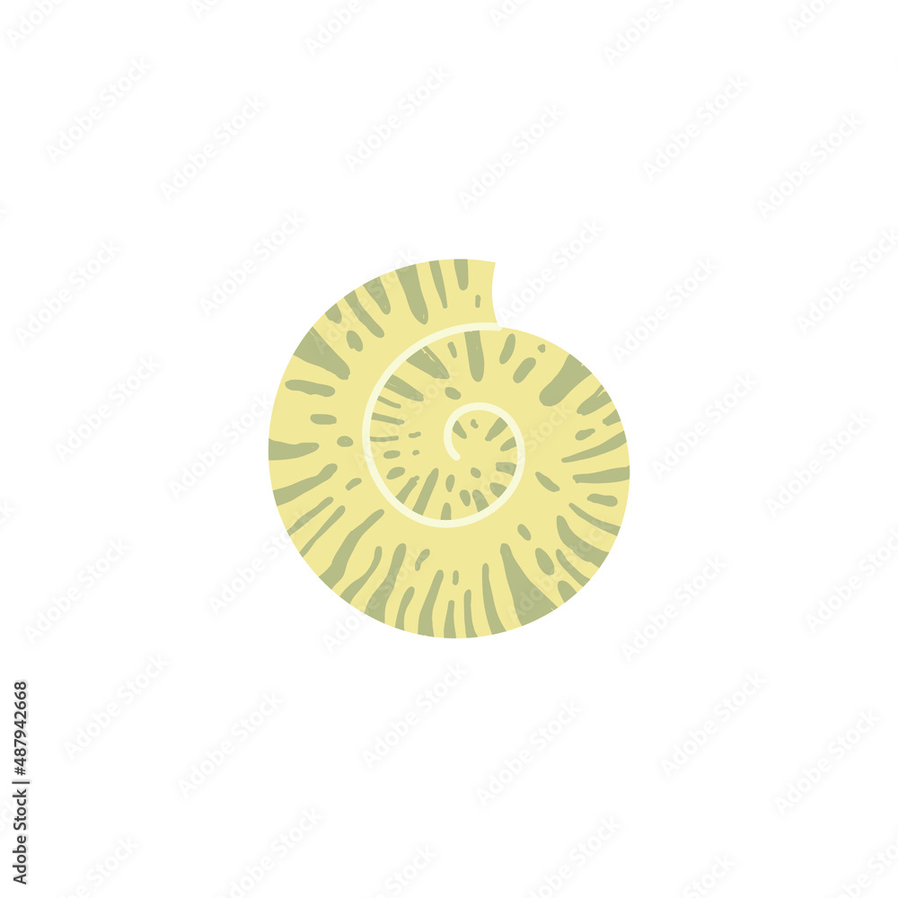 Sea shell on white background. Vector illustration. Sea shell on white background. Vector illustration.