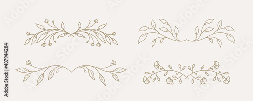 Floral dividers collection, hand drawn border lines with leaves and flowers. Vector vintage decorative elements for books, greeting cards, invitations, web