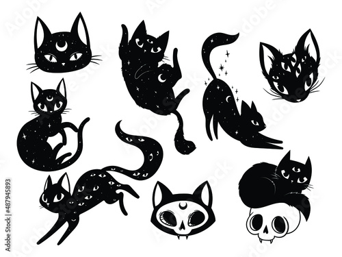 Fototapeta Set of mystical black cats