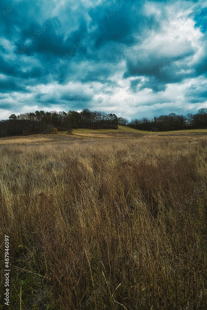 Feldlandschaft bei blauem Himmel