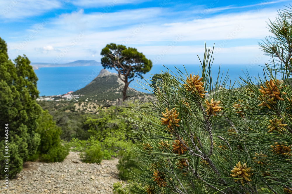 Nature on the Golitsyn trail. Landscapes of the Black Sea and the Crimean mountains. Crimea. 2021