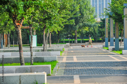 In the morning, the square of the quiet city park