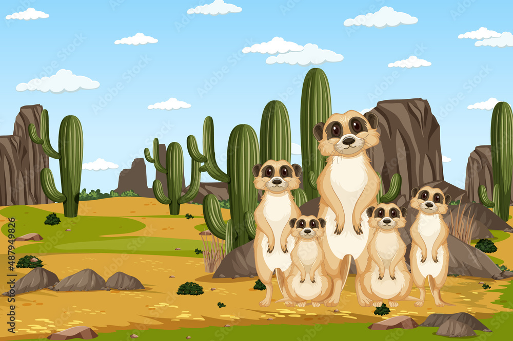 Desert background with a group of meerkats Desert background with a group of meerkats
