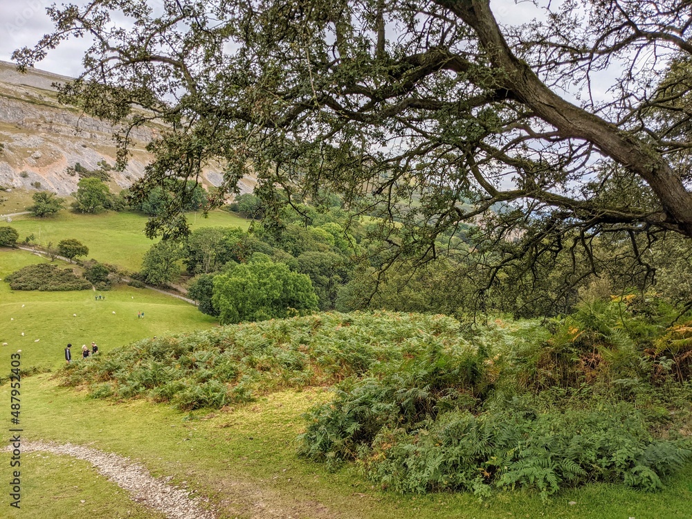 Rolling green hills and limestone escarpment in summer