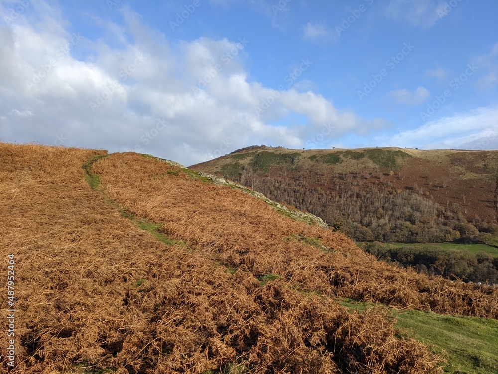 Rolling hills with brown fern and heather in autumn