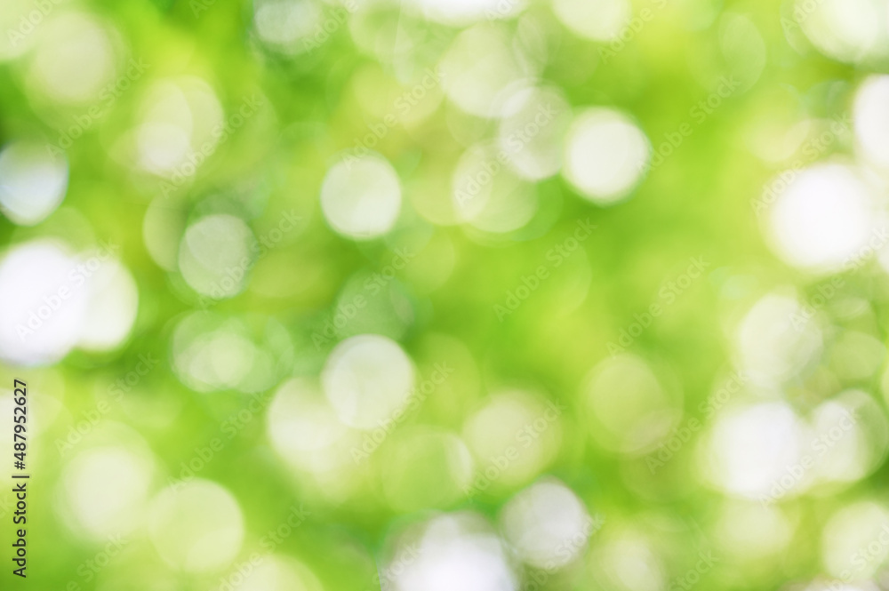 Obraz premium Abstract Fresh green background Bokhe