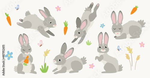 Cute set of bunnies in flat cartoon style. Funny rabbits character. Isolated vector.