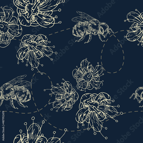 Linden blooming flowers and bees seamless pattern. Hand drawn illustration in hatching style.
