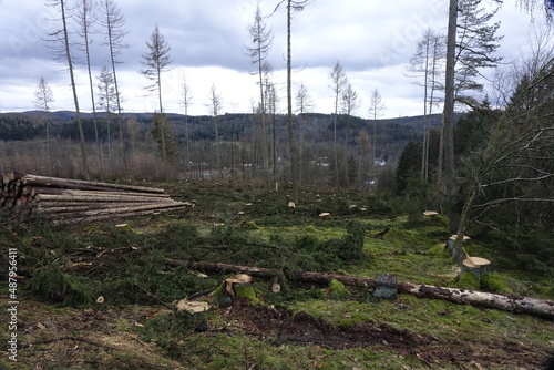 Deforestation of Siegerland spruce forest due to climate change, bark beetles and winter storms (horizontal), Allenbach, NRW, Germany