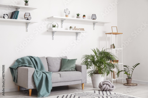 Interior of light living room with grey sofa, shelves and houseplants