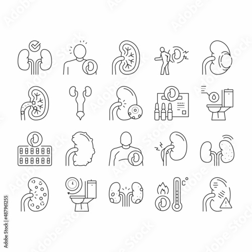 Nephritis Kidneys Collection Icons Set Vector .