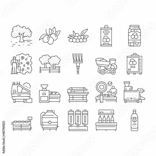 Olive Production And Harvesting Icons Set Vector .