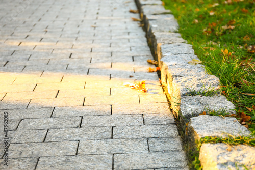 Stone pathway with autumn l...