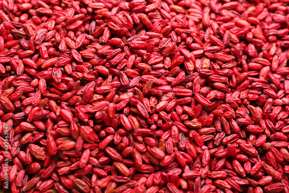 Texture of dried barberries as background Texture of dried barberries as background