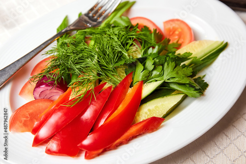 Sliced red bell pepper, tomato, cucumber, onion and herbs on a white plate