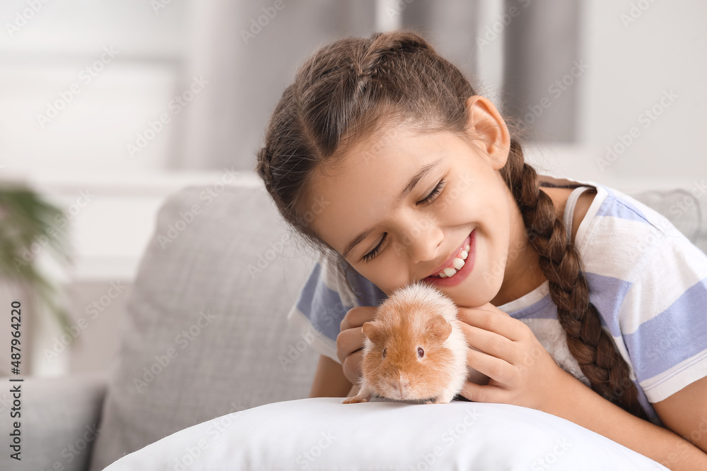 Little girl with cute guinea pig at home Little girl with cute guinea pig at home