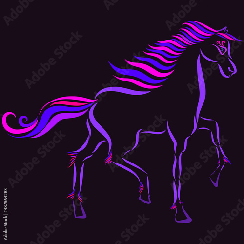 playful horse purple color stallion with a wavy mane gallops raises a hoof